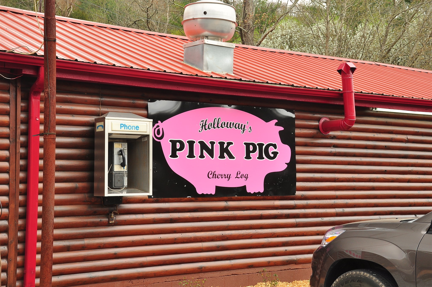 Things to Do Around Cherry Log, GA Blue Sky Cabin Rentals